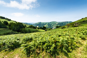 Fototapeta na wymiar The green mountain slopes of the French Pyrenees.