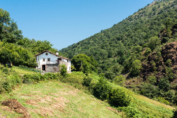 Fototapeta na wymiar A small whitewashed stone house on a wooded hillside in the French Pyrenees.