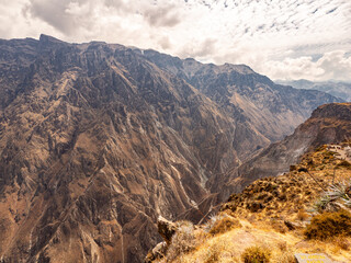 Naklejka premium Cruz del Condor, Colca canyon, Peru