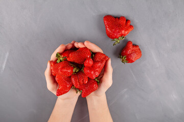 Fresh juicy berries. Unusual organic strawberries in female hands. Ugly fruits. Concept - Reduce...