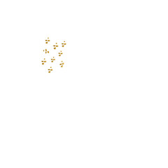 Isolated Separate Ready to Use PNG Transparent Background Gold Design Elements for Logo, Poster, Label, Packaging
