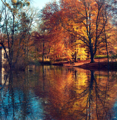 Parkanlage mit Teich im Vordergrund und Bank und leuchtenden Bäumen im Hintergrund, im Herbst