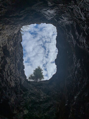 Top view from the pit, with dark earthen walls, a growing tree and sky can be seen above. High...
