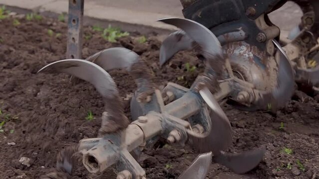 motor cultivator or tiller tractor cultivates the ground soil in the garden close up. Modern plowing farming and technology agriculture.