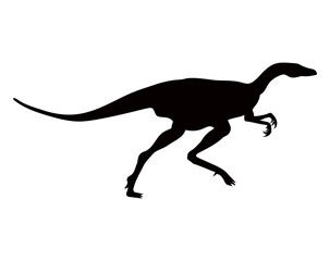 Dinosaurs of the Jurassic period. Silhouettes of different dinosaurs. Vector dinosaurs.