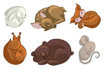 Set of sleeping forest animals.Cartoon vector graphics. © Катерина Якубович
