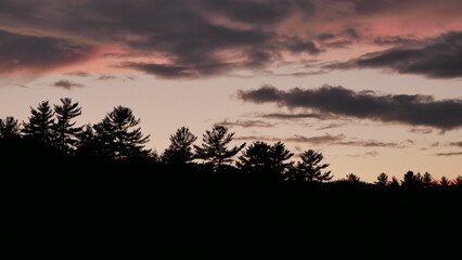 Sunset Over Silhouette Trees