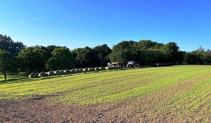 Trabajos en un campo de Galicia