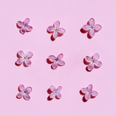 Colorful bright floral pattern of lilac on pink background. Group of flower buds making tracery. Flat lay, top view. 