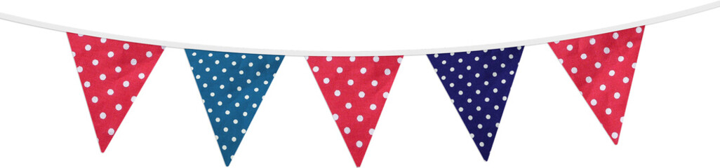 Pink Blue Dotted Flags Garland Element