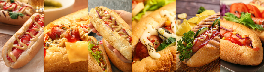 Set of tasty hot dogs on table