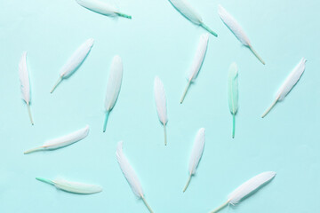 Obraz premium Lightweight white feathers scattered on a soft pastel blue background, gentle texture and natural simplicity, the lightweight feathers exhibit a delicate texture
