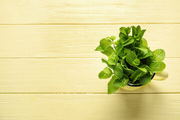 Fototapeta premium Cup with mint leaves on color wooden background