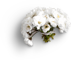 Cherry Blossom Bunch Flatlay White