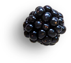Blackberry