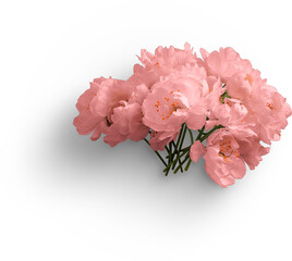 Cherry Blossom Bunch Flatlay Pink