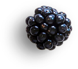 Blackberry