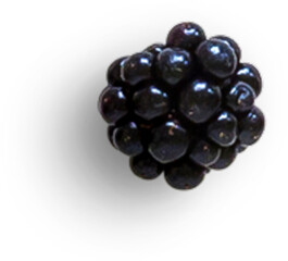 Blackberry