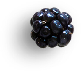 Blackberry