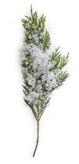 Fir Branch with Snow © Custom Scene