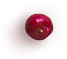 Hawthorn Berry