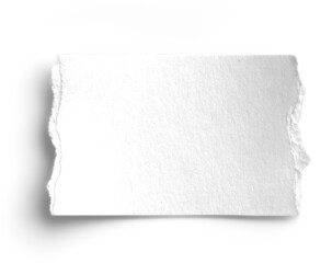 Paper Card Strip Torn