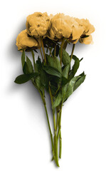 Bouquet of Yellow Peonies Flat lay
