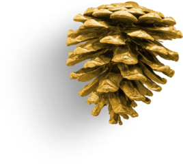Pinecone Metallic