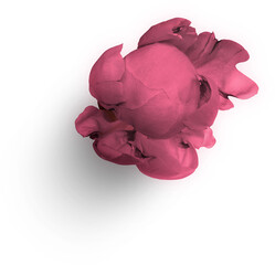 Peony Pink © Custom Scene