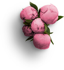 Bouquet of Pink Peonies © Custom Scene