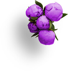 Bouquet of Purple Peonies © Custom Scene