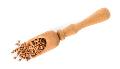 Wooden scoop with buckwheat grains on white background