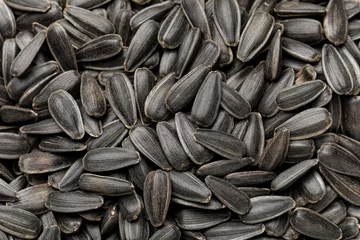 Tuinposter Unpeeled sunflower seeds as background © Pixel-Shot