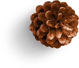 Pinecone Metallic