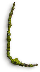 Small Wooden Stick with Moss