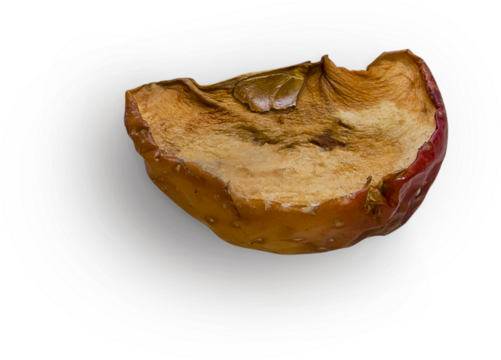Red Apple Rotten Slice