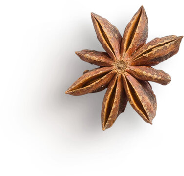 Star Anise