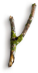 Wooden Stick