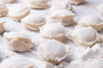 Fototapeta na wymiar cooking homemade dumplings in flour close-up