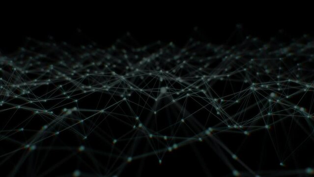 Light Filtering 4K Resolution Video