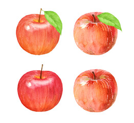 りんごの水彩イラストセット　アナログ手描き