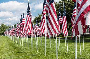 Lots of American flags. Traditions of Celebrating Memorial Day, Independence Day and Veterans Day in the United States