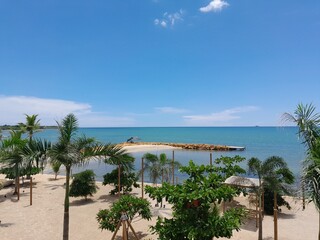 beach with palm trees