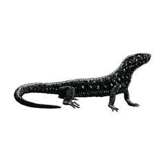 Yellow Spotted Lizard hand drawing vector illustration isolated on background