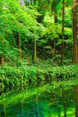 白川水源（熊本県南阿蘇村）