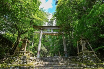 静寂に包まれた春の神社の参道の情景＠福井
