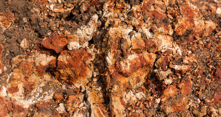 Sedimentary rocks with a high content of iron oxide. Red soil, loam. The texture of the soil.