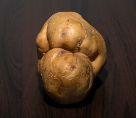 The potatoes are oddly shaped. An ugly root vegetable.
