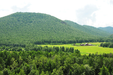 A large farm fenced in a clearing at the foot of a high mountain in a coniferous forest.