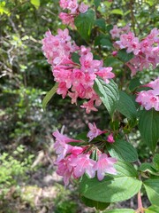 登山　イメージ